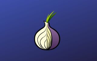 Comprendre l’utilité du navigateur Tor pour naviguer dans la blockchain